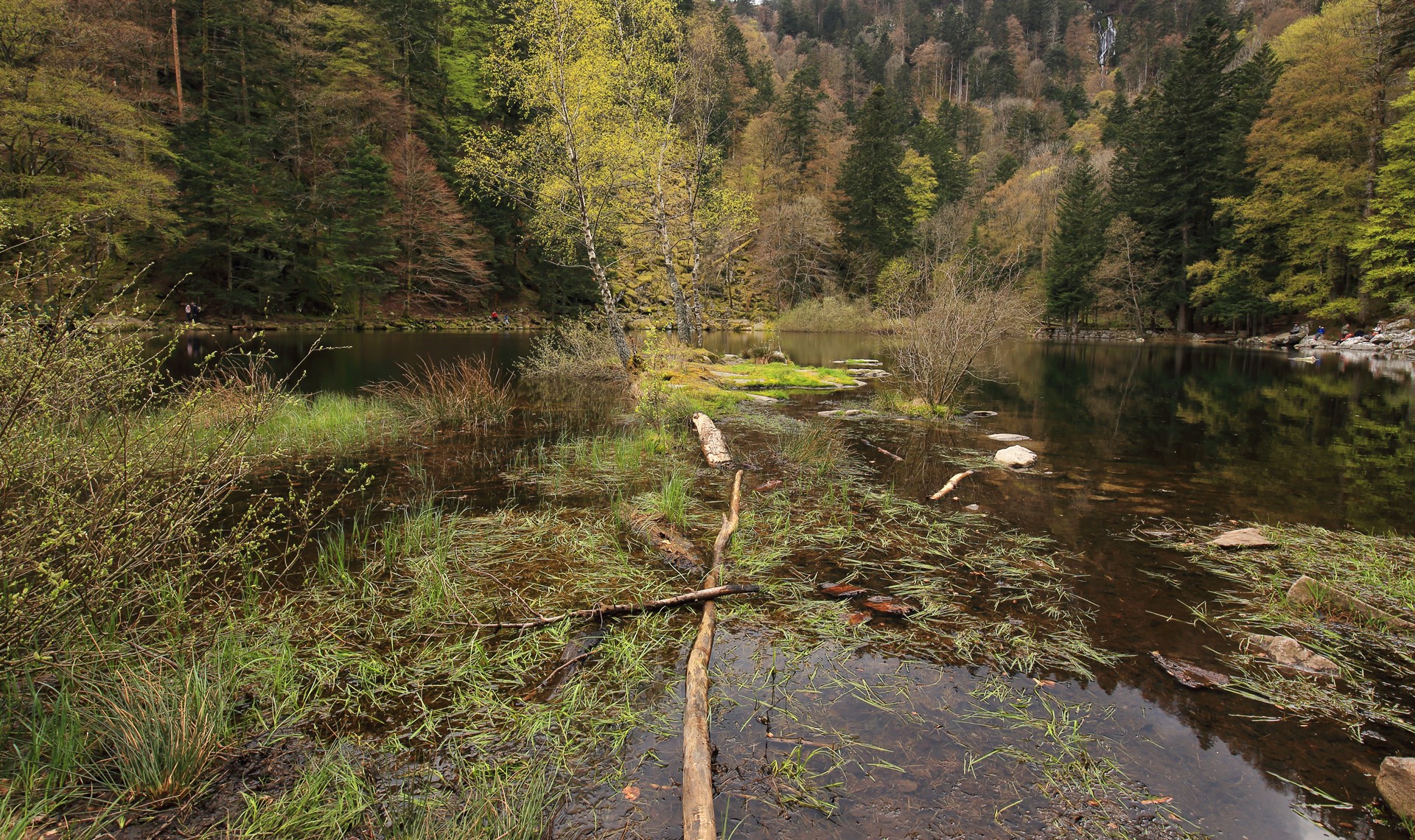 Lac de Fischboedle ( GR 5 - Vosges - Alsace )