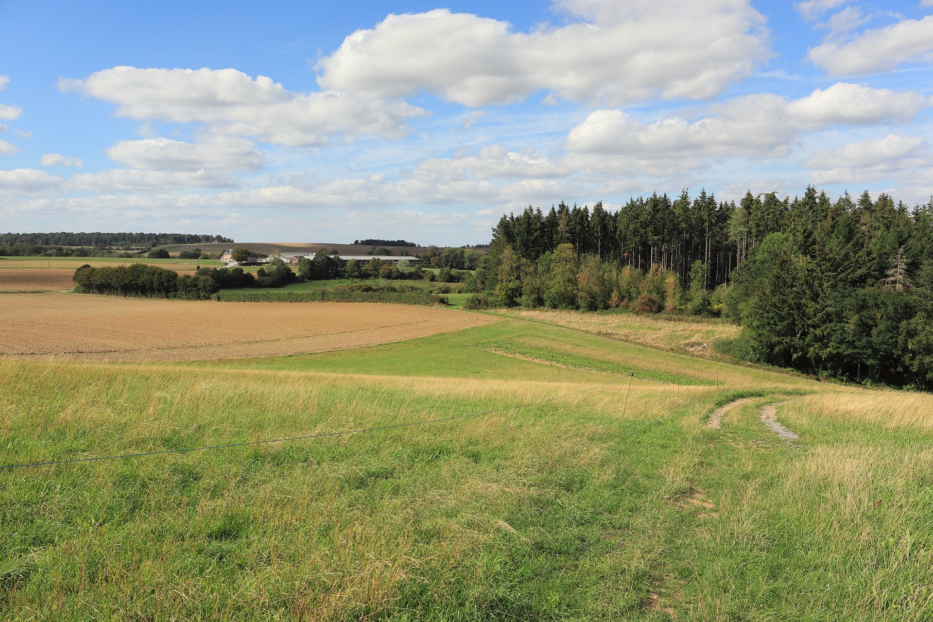 Sentier GR 129 entre Gerpinnes et Maredret